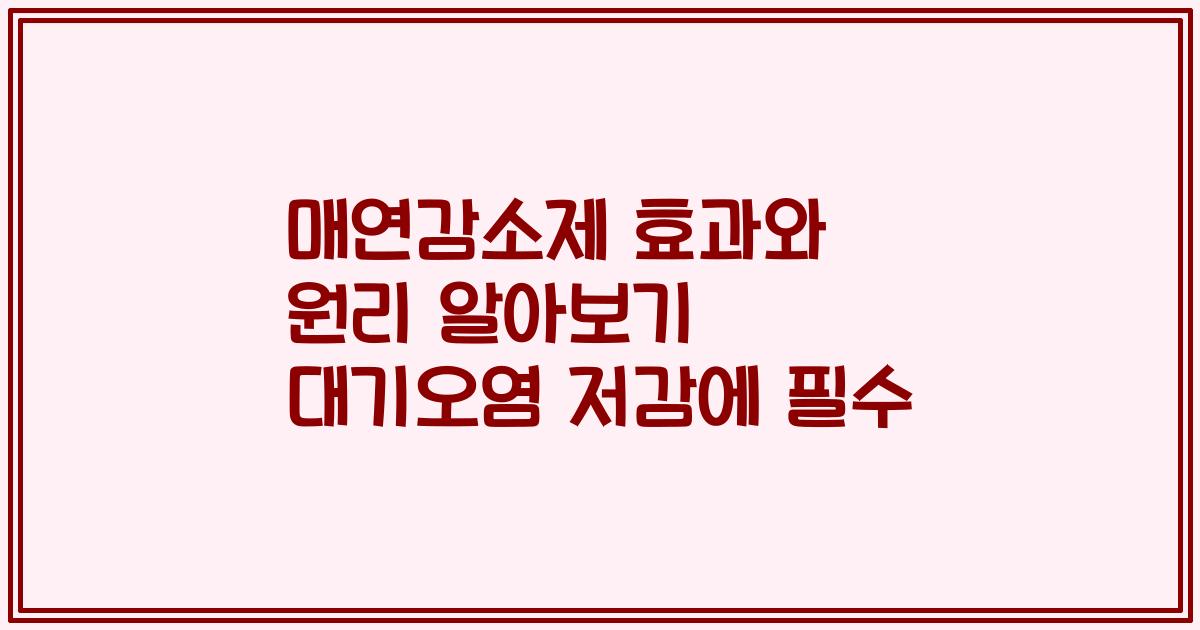 매연감소제 효과와 원리 알아보기 대기오염 저감에 필수