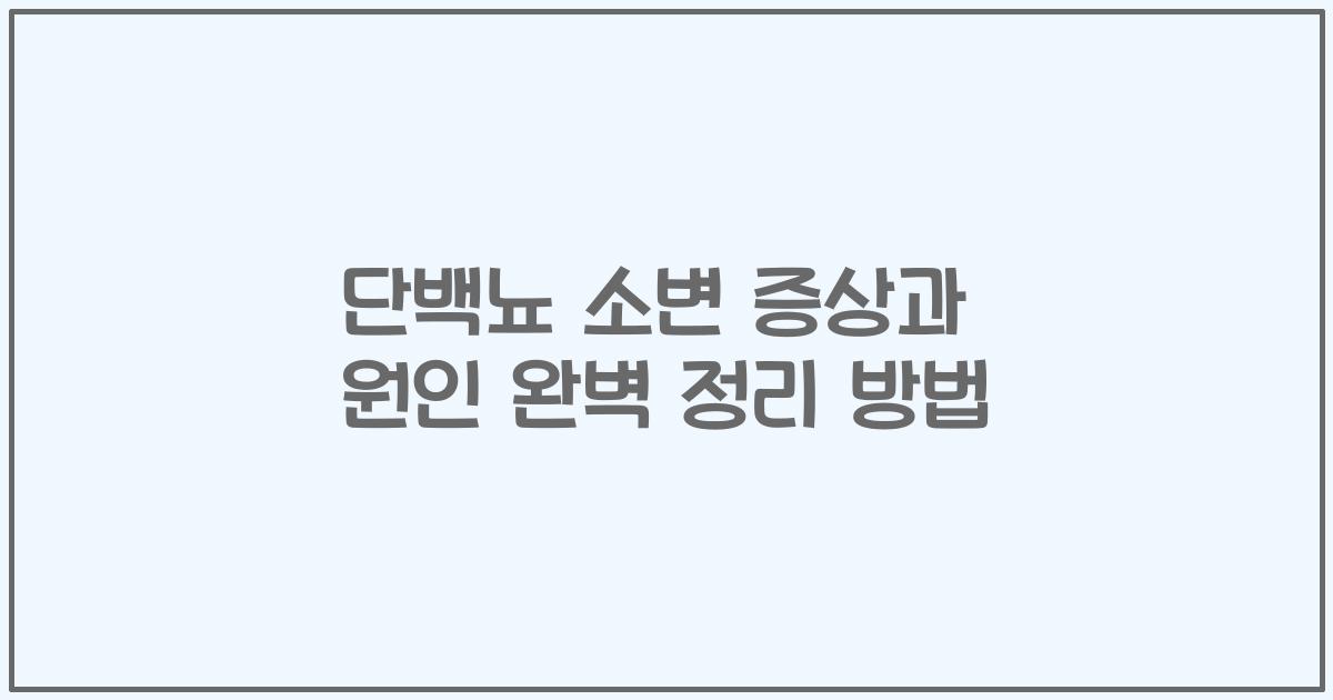 단백뇨 소변 증상과 원인 완벽 정리 방법